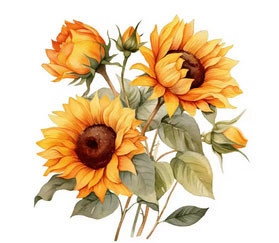 Термонаклейка на одежду Подсолнухи Киев - изображение 1