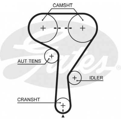 Ремінь ГРМ Gates 5603XS Вінниця - фото 1