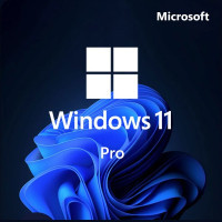 Операційна система Microsoft Win Pro 11 64-bit All Lng PK Lic Online DwnLd NR (FQC-10572) Київ - фото 1