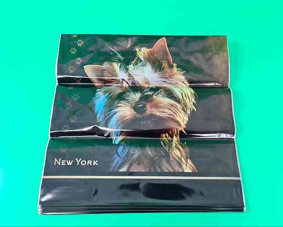 Полиэтиленовый пакет (40х40) с пластиковой ручкой