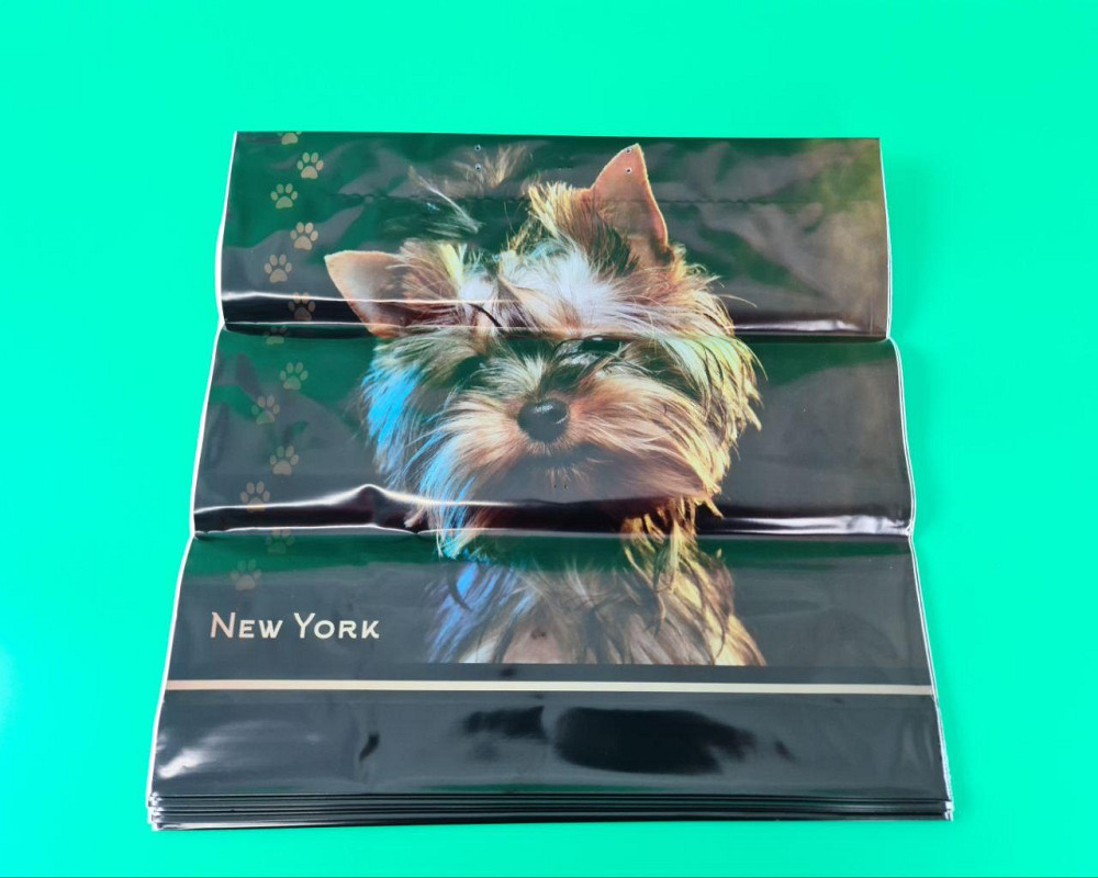 Полиэтиленовый пакет (40х40) с пластиковой ручкой