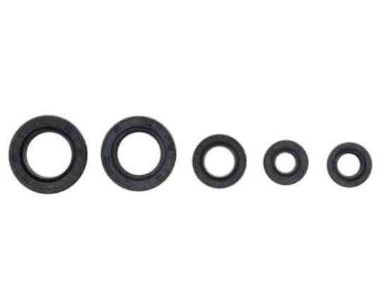 Сальники (набор) скутер цепной 2 Т50, Сузуки RUN 5шт (полный комплект) Мукачево