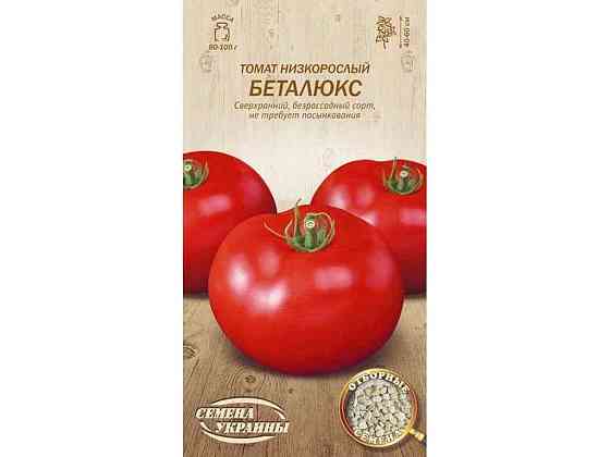 Томат низькорослий Беталюкс ОВ 0,1г (20 пачок) (рс) ТМ НАСІННЯ УКРАЇНИ Київ