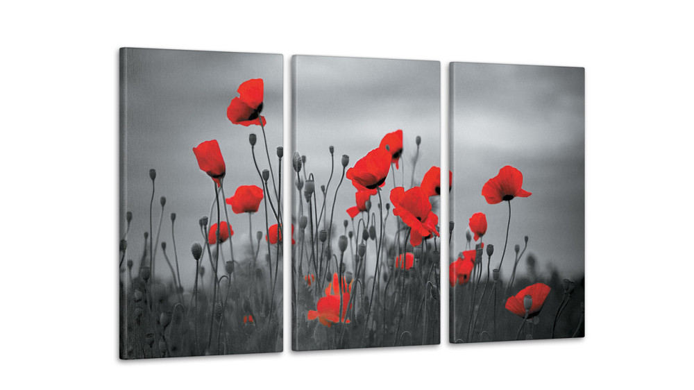 Модульна картина Квіти Маки Аrt-215_3А Київ - фото 2