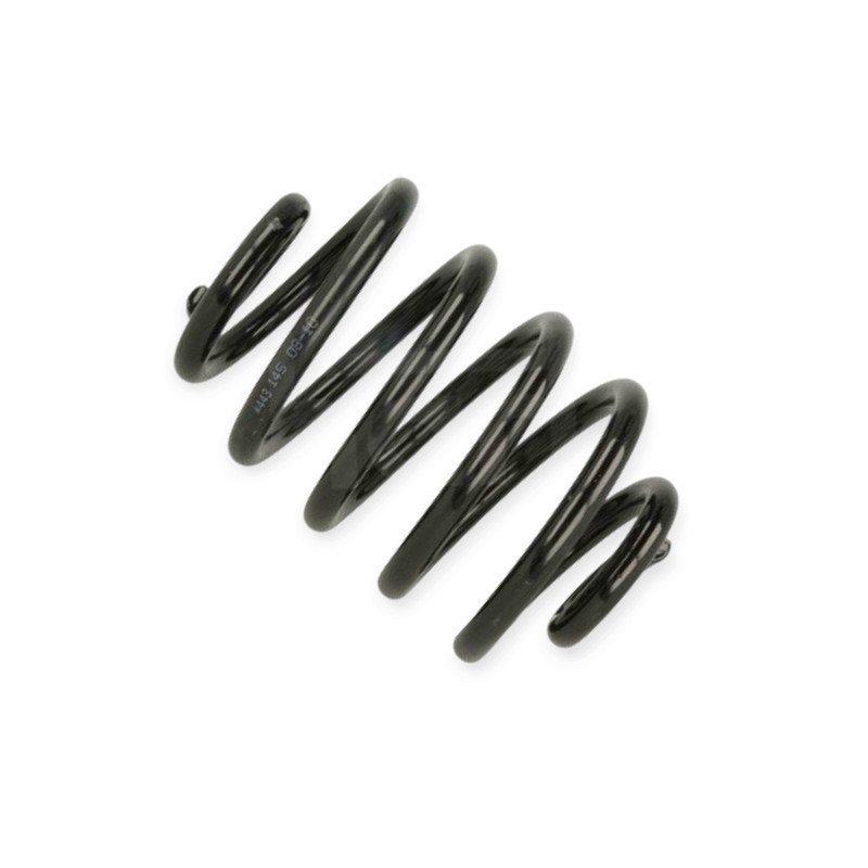 Пружина Renault Clio II, Symbol, Thalia задня Мукачево - фото 1