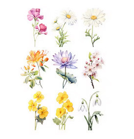 Термонаклейка на одяг жіночі Квіти Київ - фото 1