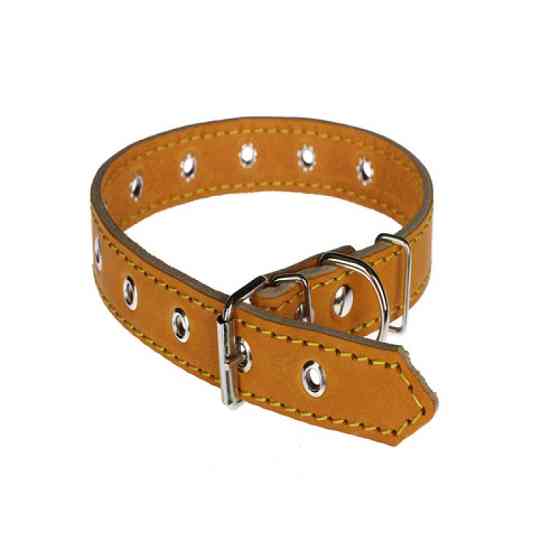 Нашийник 212 20мм "Класик" шкіра безрозмірний Вінниця