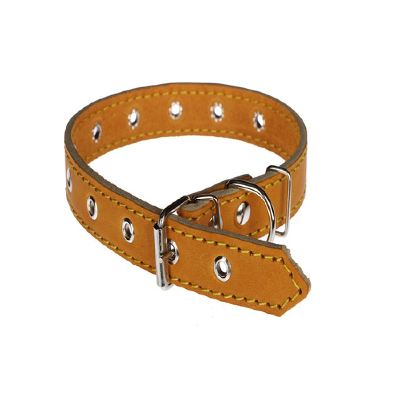 Нашийник 212 20мм "Класик" шкіра безрозмірний Вінниця - фото 1