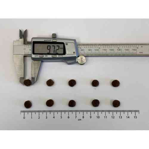 Корм сухий Brit Fresh Chicken/Potato Puppy для цуценят та молодих собак всіх порід з куркою та картоплею 12 кг Київ