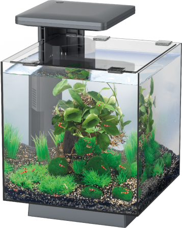 Аквариумный набор SuperFish QubiQ 15 LED Black (A4050809) Киев