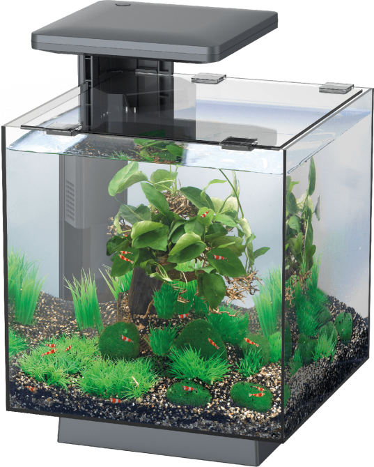 Аквариумный набор SuperFish QubiQ 15 LED Black (A4050809) Киев - изображение 2