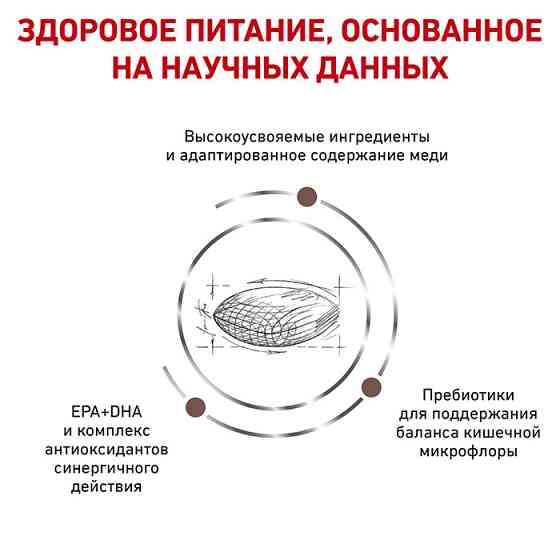 Royal Canin Hepatic (Рояв Канін Гепатик) сухий корм для собак при захворюваннях печінки 1.5 кг. Запоріжжя