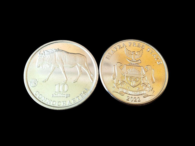 Биафра 10 шиллингов 2022 UNC Полтава - изображение 1