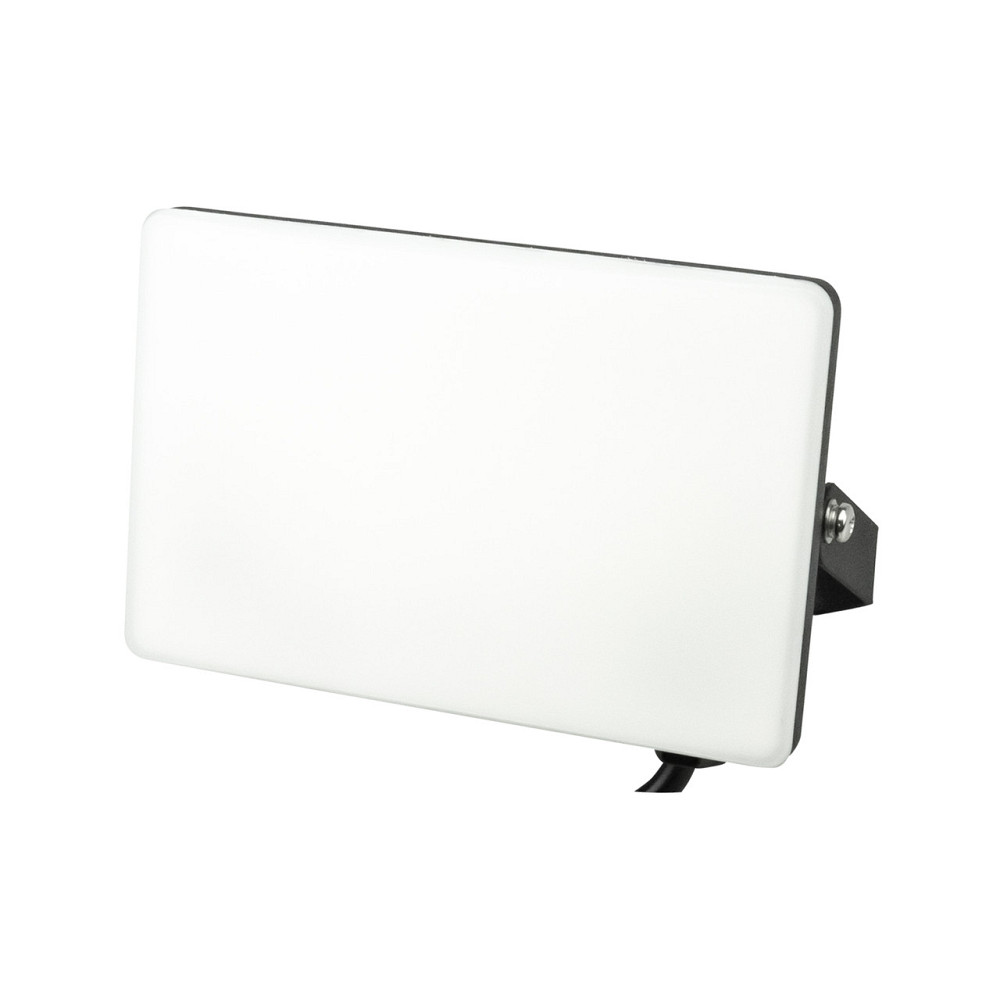 Прожектор светодиодный матовый 30W 6400K PEGASUS-30 Киев - изображение 1