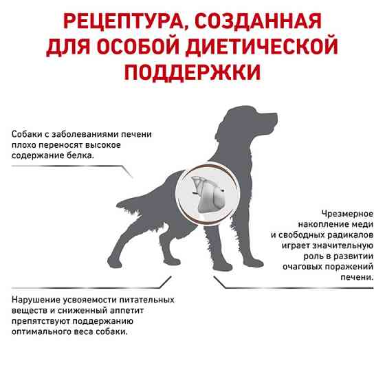 Royal Canin Hepatic (Рояв Канін Гепатик) сухий корм для собак при захворюваннях печінки 12 кілограмів. Запоріжжя