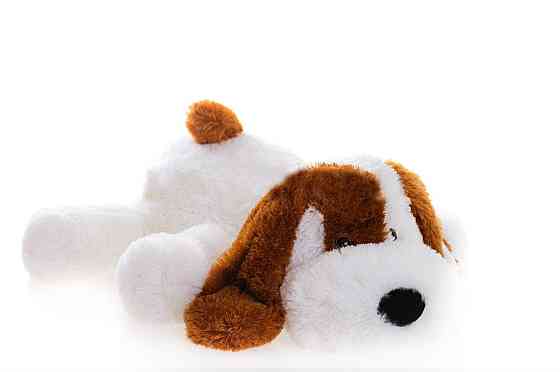 Собачка Алина Шарик 55 см белый Киев