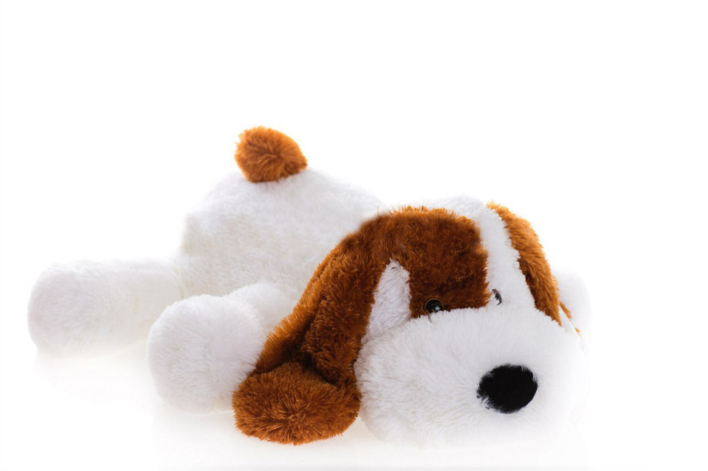 Собачка Алина Шарик 55 см белый Киев - изображение 1