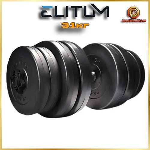 Гантель Elitum 31кг с удлинителем грифа для штанги, наборные, для дома и зала Киев - изображение 1