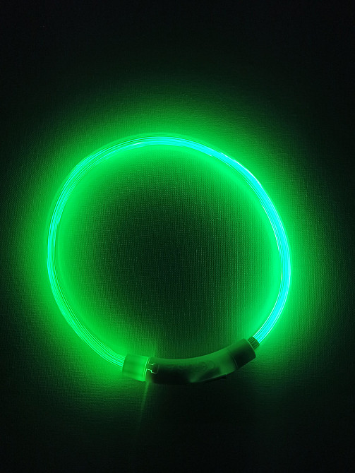 Светящийся ошейник для собак или котов с USB зарядкой имеет три режима свечения S 35 см зелёный Киев - изображение 2