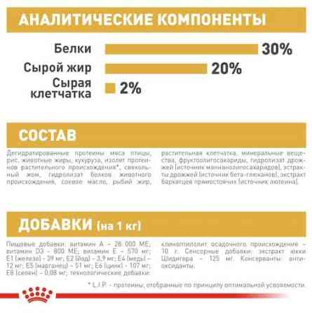 Royal Canin Chhuahua Puppy (Рояв Канін Чіхуахуа Паппі) сухий корм для цуценят 1.5 кг. Запоріжжя
