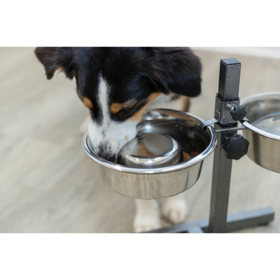 Миски на підставці для собак та кішок Trixie (Тріксі) h:40 см 2х1.8 л d:21 см Запоріжжя