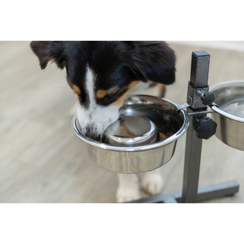 Миски на підставці для собак та кішок Trixie (Тріксі) h:40 см 2х1.8 л d:21 см Запоріжжя - фото 4