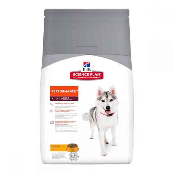 Сухой корм для активных собак Хиллс Hills SP Performance с курицей для всех пород собак 14 кг Винница