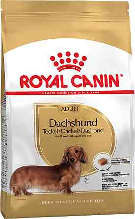 Корм для дорослих собак породи Такса ROYAL CANIN DACHSHUND ADULT 1.5 кг Київ
