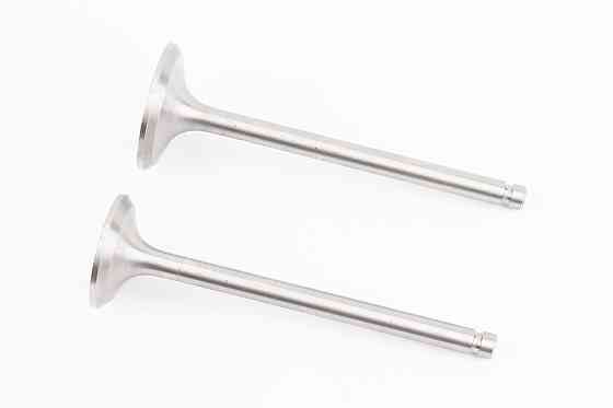 Клапан впускний (h-120; D-42; d-7,95), випускний (h-120; D-36; d-7,95) к-кт R195NM Киев