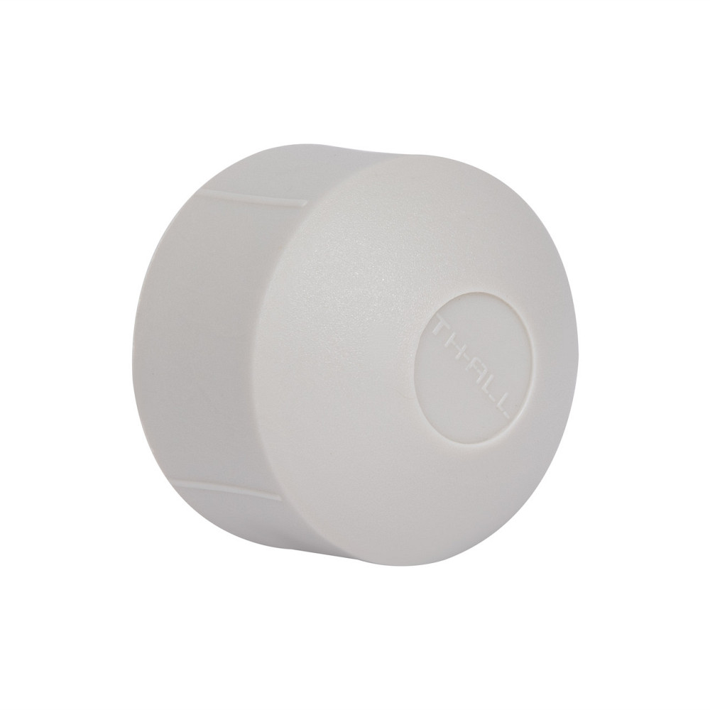 Заглушка PPR Thermo Alliance 32 Київ - фото 1