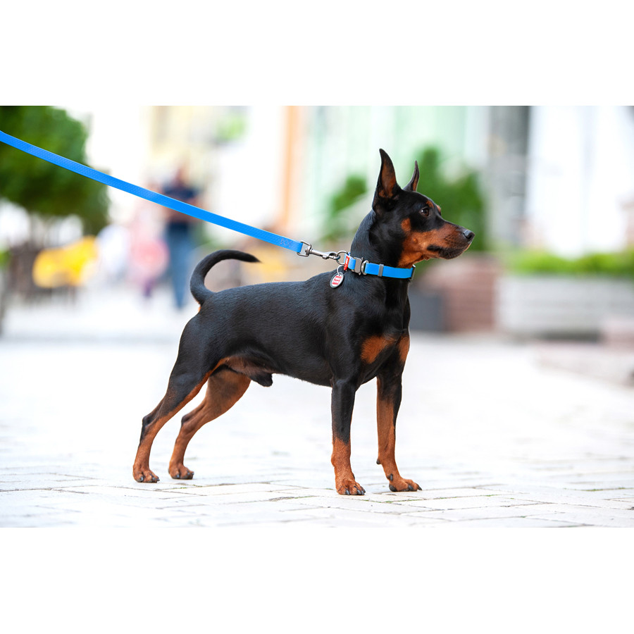 Нашийник для собак водостійкий WAUDOG Waterproof c QR паспортом, металічна пряжка-фастекс, Ш 25 Коломия - фото 5