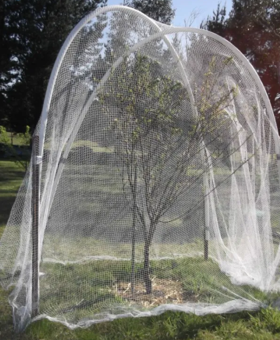 Сітка  20*20 комірка  для захисту від  птахів 6м*10м Дніпро - фото 7