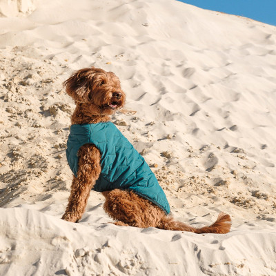 Жилет для тварин Pet Fashion E.Vest морська хвиля M2 (4823082424160) Вінниця - фото 5
