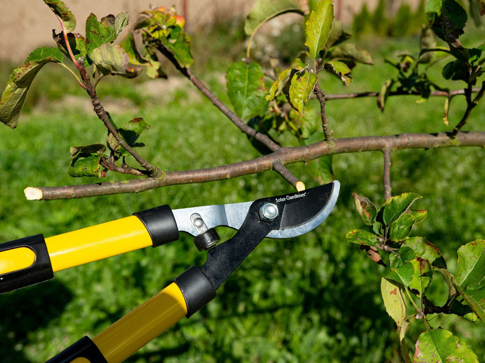 Гілкоріз "John Gardener" тип лез ножицевий, телескопічні ручки, для гілок до 35мм Київ - фото 8