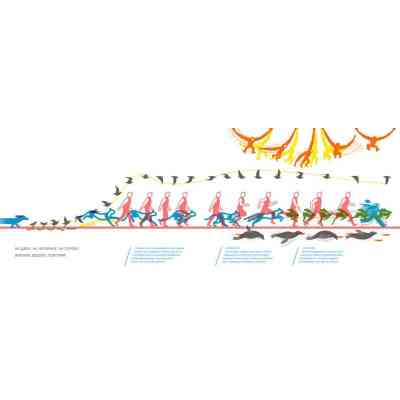 Книга Куди і звідки - Романа Романишин, Андрій Лесів Видавництво Старого Лева (9786176798217) Вінниця