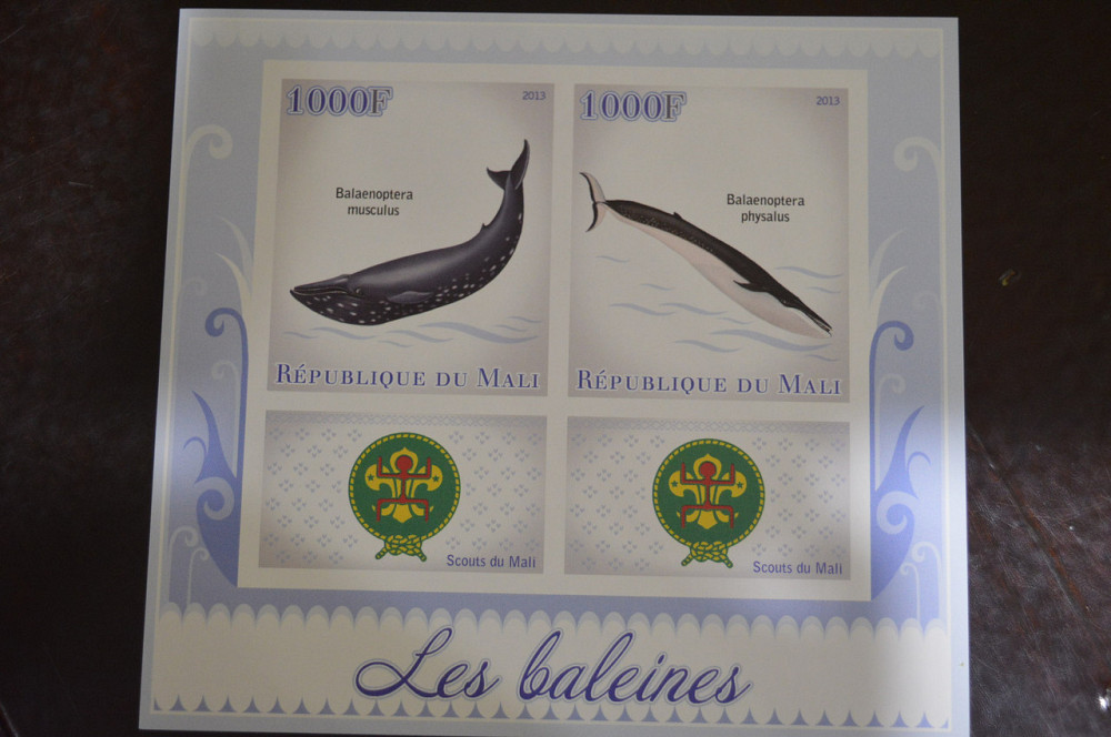 Мали. Марки. Фауна. Блок. 2013 год (В-3) Полтава - изображение 1