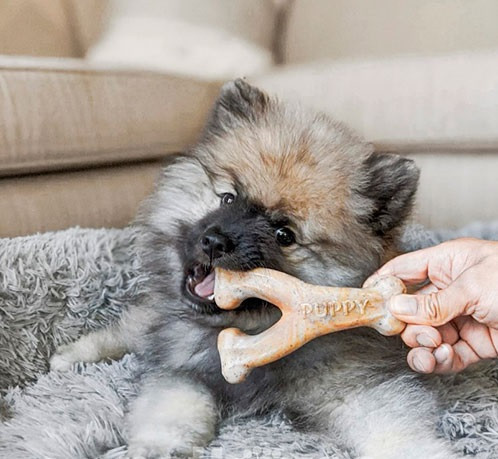 Жувальна іграшка для собак Бенебон Benebone Puppy Wishbone Bacon зі смаком бекону для цуценят до 13 кг (розмір S) Вінниця - фото 4