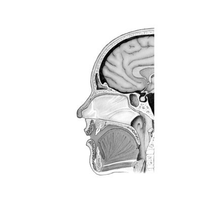 Книга Ми - це наш мозок - Дік Франс Свааб КСД (9786171501683) Вінниця - фото 9