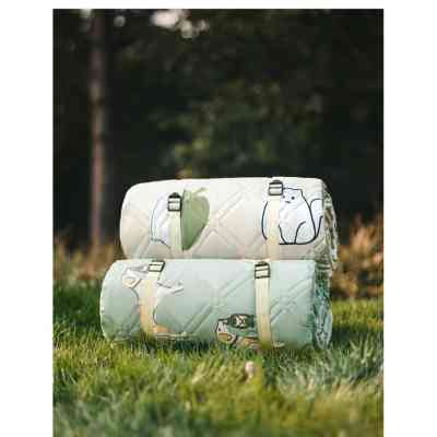 Туристичний килимок Naturehike 210х240 см CNK2350WS010 Світло-салатовий (6976507661713) Вінниця