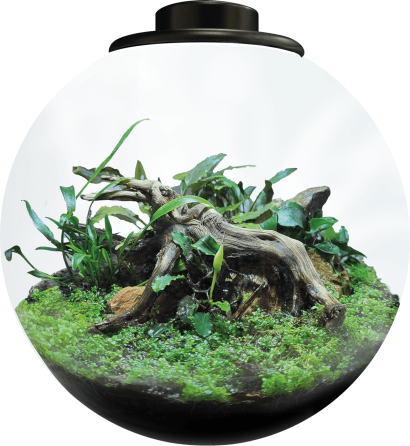 Акваріумний набір BIO ART BOWL 225 BLACK (A4056020) Київ