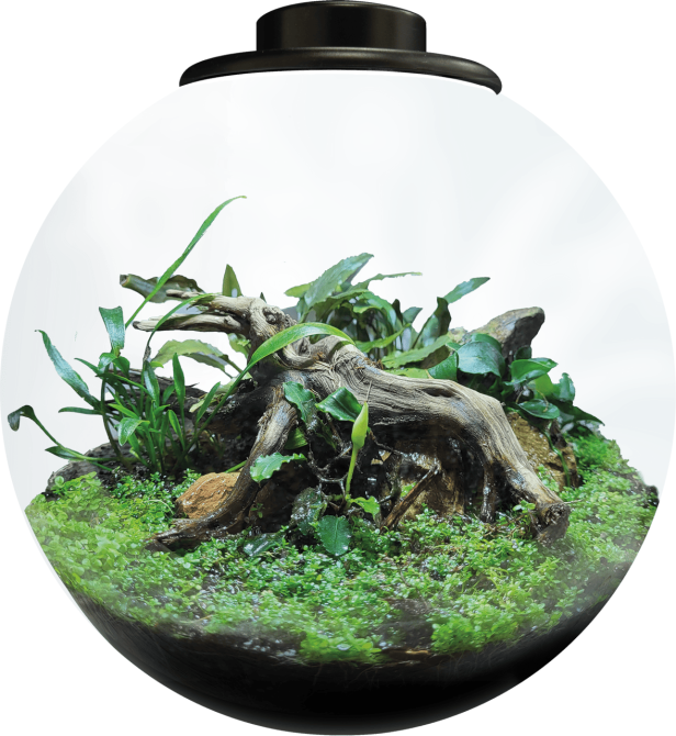 Акваріумний набір BIO ART BOWL 225 BLACK (A4056020) Київ - фото 1
