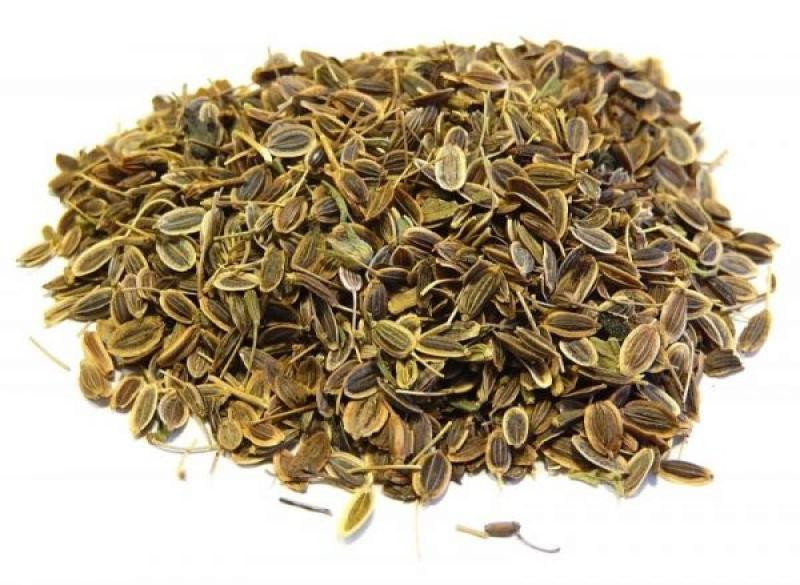 Насіння кропу (Семена укропа), 100г master sem Киев - изображение 1