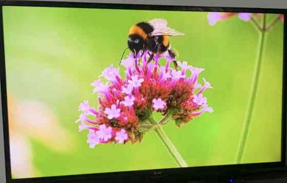 Телевизор LG 47