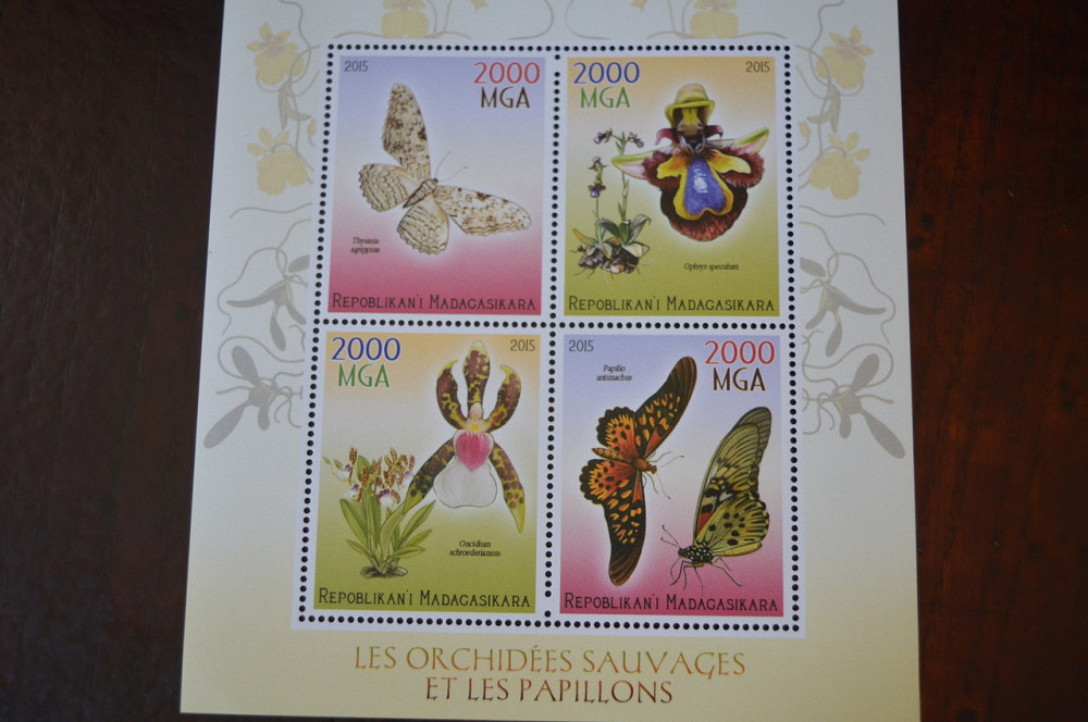 Мадагаскар. Фауна. Личности. Блок. (А-35) Полтава - фото 1