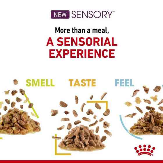 Royal Canin Sensory Smell Gravy (Роял Канін Сенсорі шматочки) вологий корм для перебираних кішок 85 г х 12 шт. Запоріжжя
