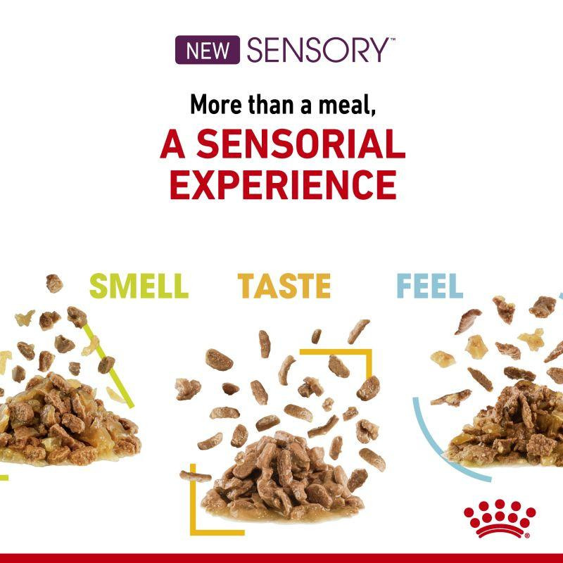 Royal Canin Sensory Smell Gravy (Роял Канін Сенсорі шматочки) вологий корм для перебираних кішок 85 г х 12 шт. Запоріжжя - фото 4