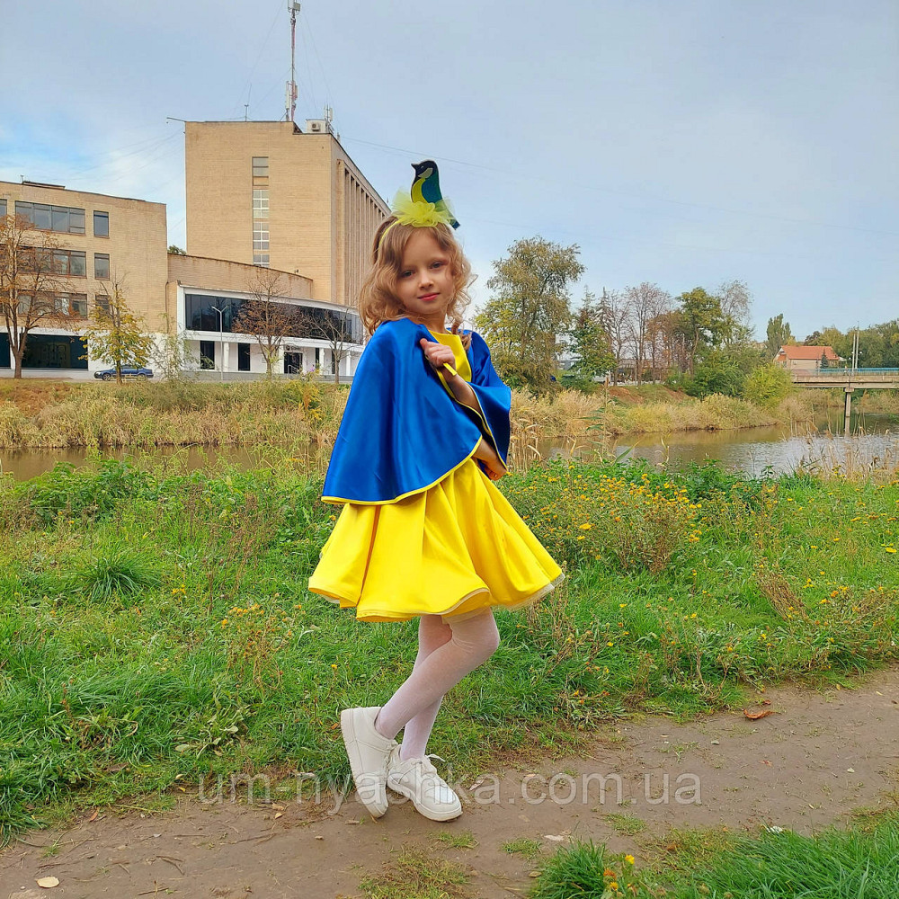 Обруч синички Синичка Кривой Рог - изображение 4