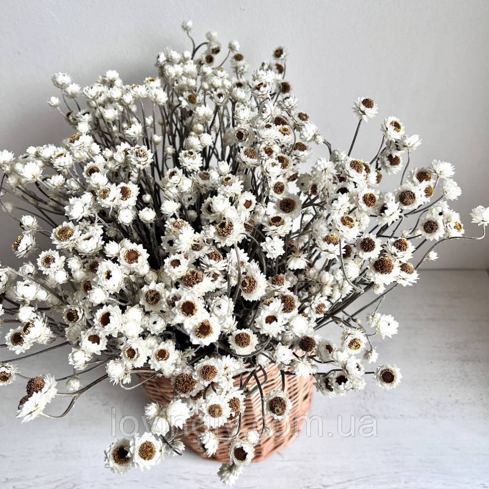 Композиция из натуральных сухоцветов в плетеной корзине высота 40см. Ирпень - изображение 3