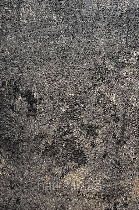 Шпалери вінілові на флізеліні AS creation The Bos 0.53х10 під штукатурку структурні чорні прожилки золотом Київ - фото 1