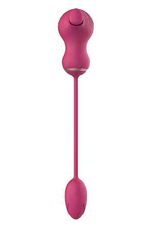 Гибкий двойной стимулятор и вибрационное яйцо Dream Toys Essentials, розовый Sex Aura Киев
